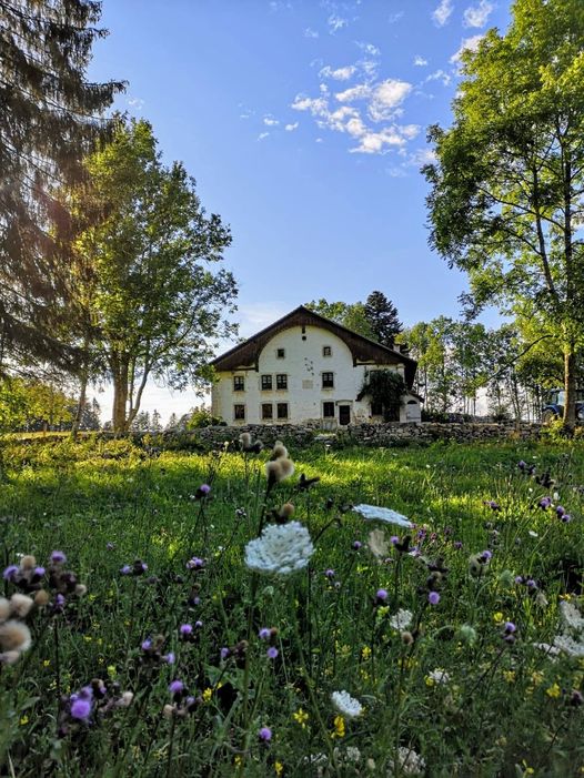 Gîte-urtiere-houser samuel8