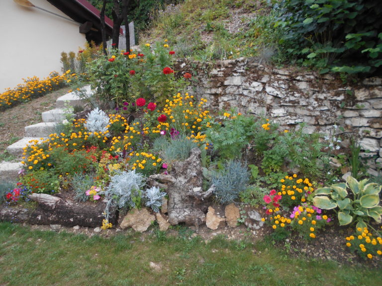 gite-le bleuet-vaufrey-doubs