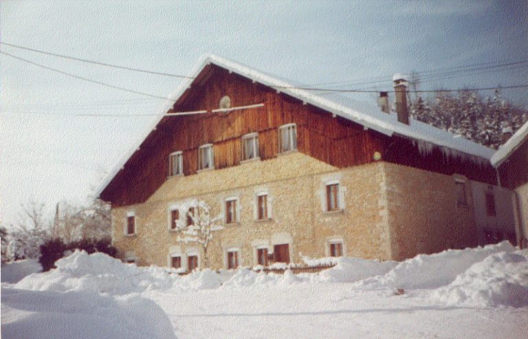 APPARTEMENT 1 - NOËL  ET REINE PETIT_1
