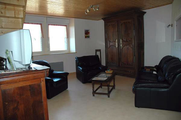 APPARTEMENT - FRANCOIS CUCHE_3