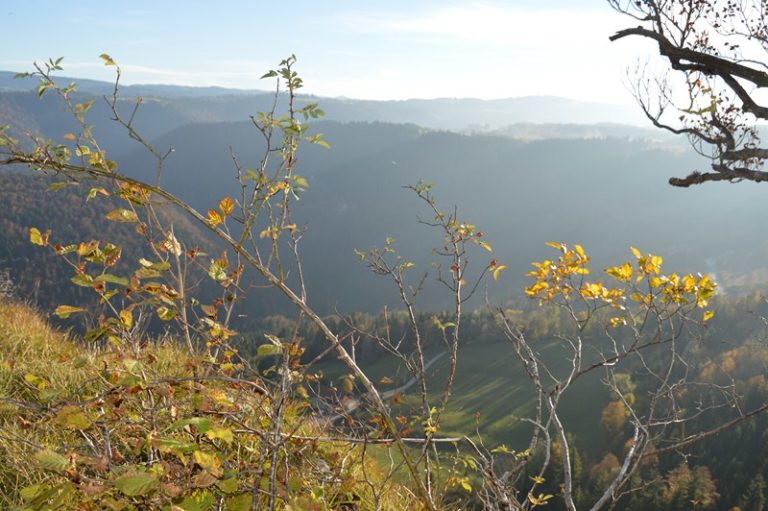 BELVEDERE LA CENDREE_1