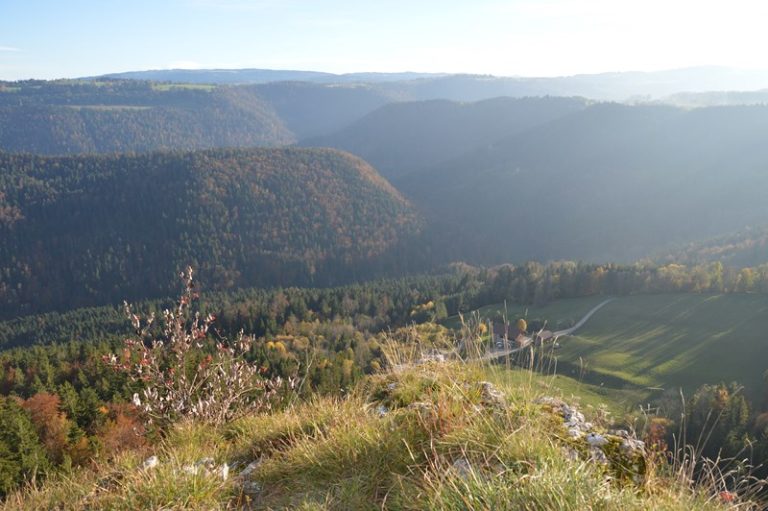 BELVEDERE LA CENDREE_4