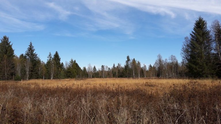 SENTIER INTERPRÉTATION: SUR LES PAS D'ISENBART_2