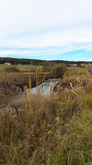 SENTIER INTERPRÉTATION: SUR LES PAS D'ISENBART_3