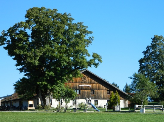 RESTAURANT - AUBERGE DU CHARRON_1