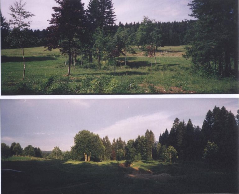 ARBORETUM DU LAVOT_1