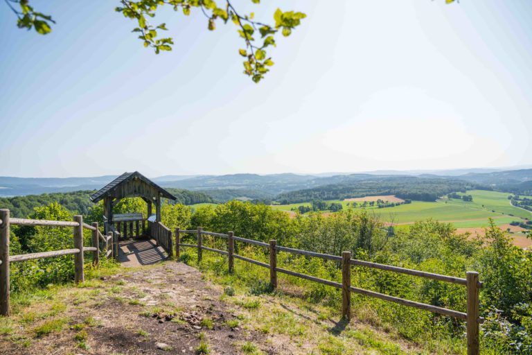 BELVEDERE_PEU_CCPHD_MAXIME-NAEGELY_LQ (2)