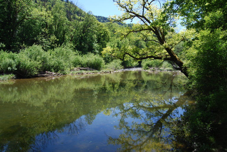 camping-grand-champs-saint-hippolyte12