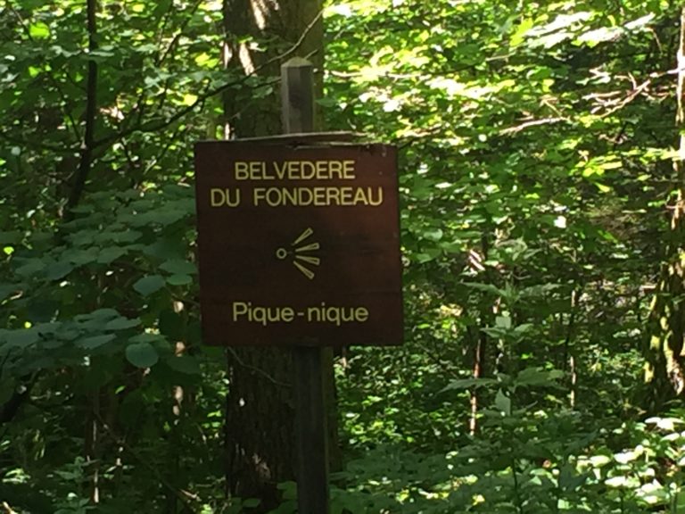 POINT DE VUE LE FONDEREAU_5