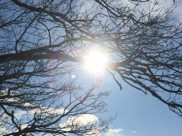 POINT DE VUE LE FONDEREAU_7