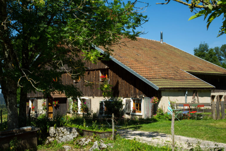 APPARTEMENT - CHEZ VOYNOT_5
