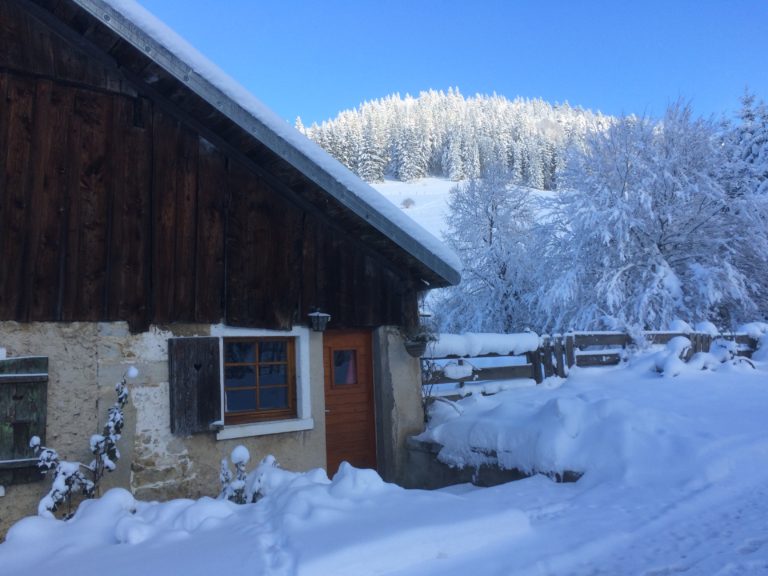 APPARTEMENT - CHEZ VOYNOT_2