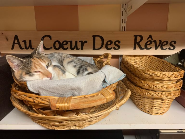 RESTAURANT - AU COEUR DES REVES - auberge-vieux-chateleu