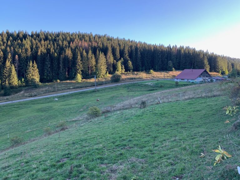 Auberge vieux chateleu-au coeur des rêves