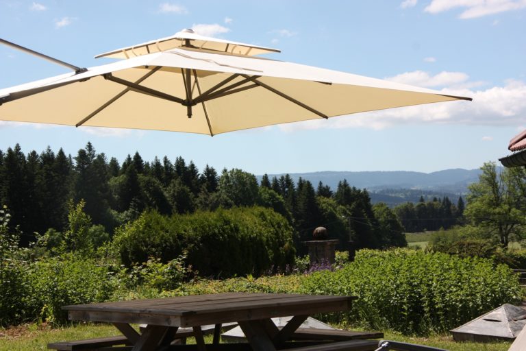 chalet-des-pounets-damprichard