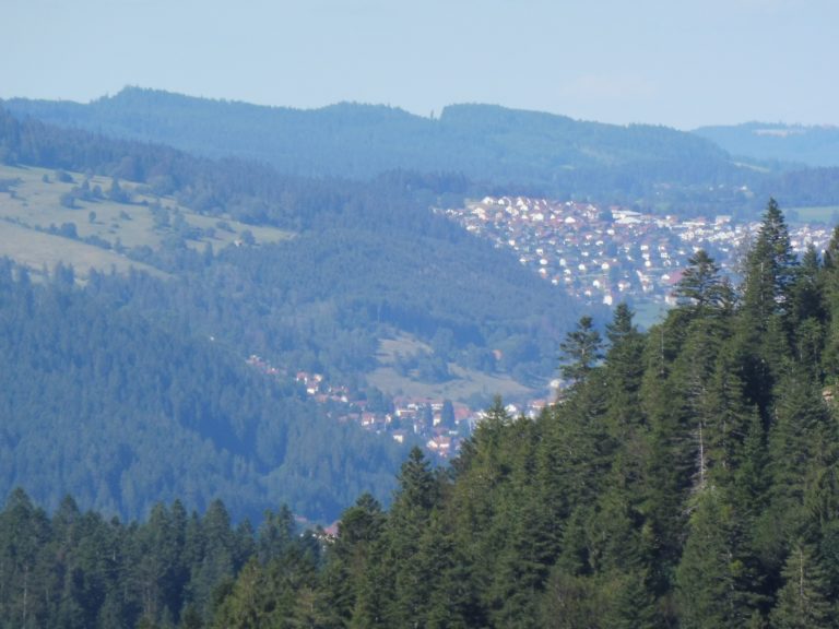 Gîtelechable-lesgras13