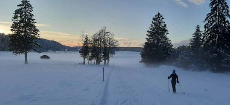 chalet-sauna-les-grasSI 14