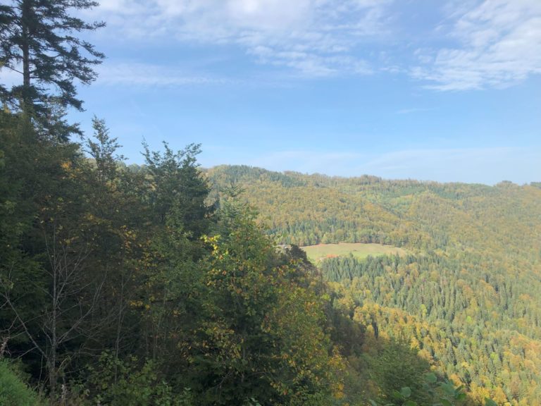 belvedere-les-fougères-goumois