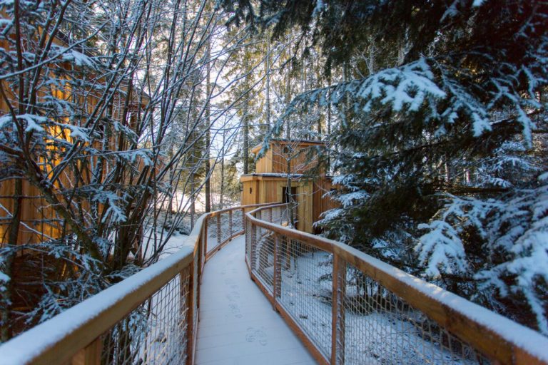 cabanes-arbres-familly-doubs-jura-suisse