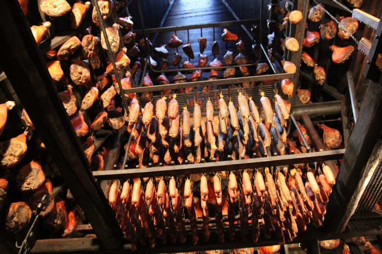 FERME MUSEE DU MONTAGNON_2