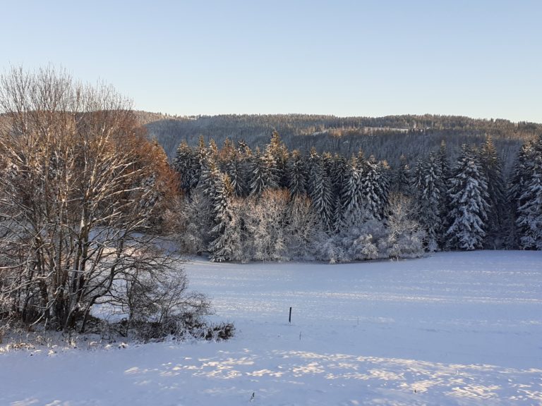 fermeducerneuxbillard_SI7