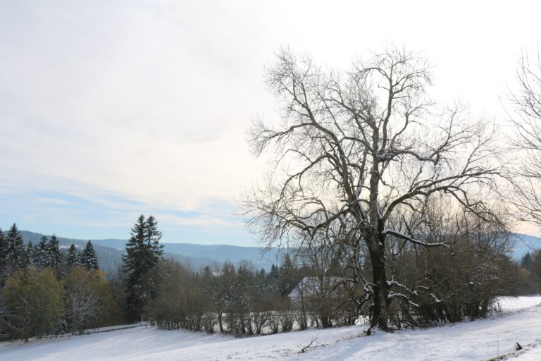 fermeducerneuxbillard_SI8