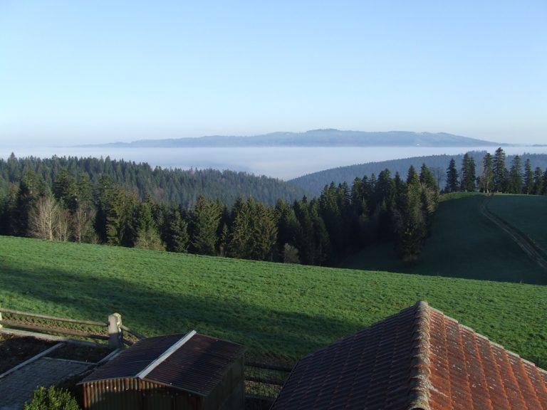 APPARTEMENT - BILLOD  JEAN MICHEL_7