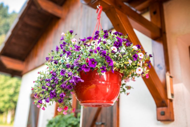 gite-laviesouslebois-lesgrasSI 10