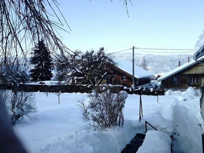 APPARTEMENT - LE VERGER_9
