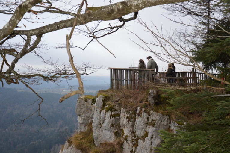 BELVEDERE LA CENDREE_5