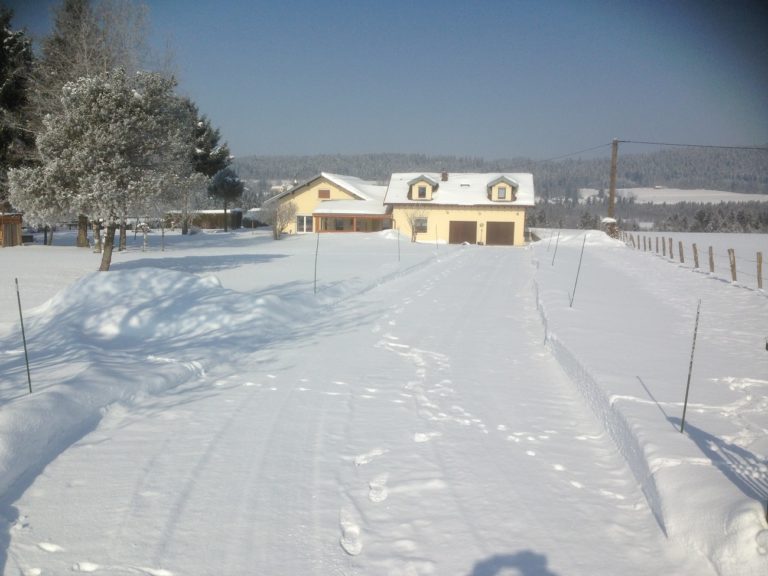 meubledanielcourtois6