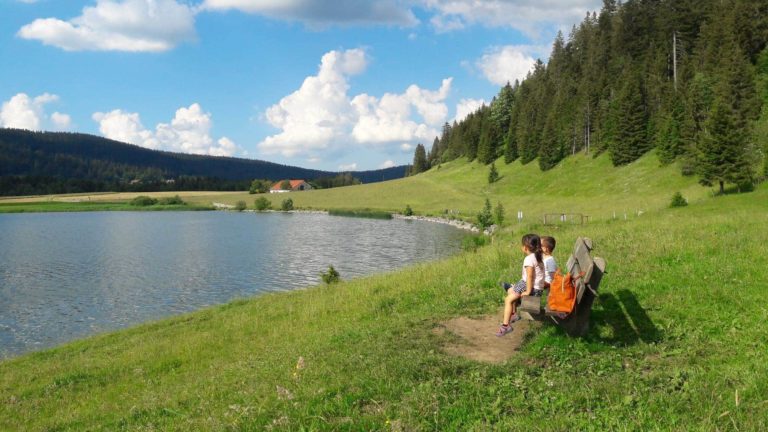 chalet-sauna-les-grasSI 17