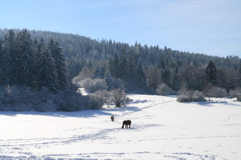 Parc-naturel-regional-doubs Horloger- hiver-neige